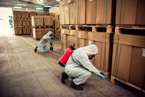 Best Affordable Pest Control Services  in Pomona Park, FL