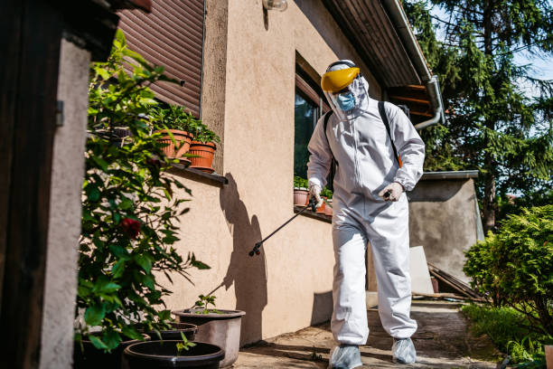 Best Local Pest Control Services  in Pomona Park, FL