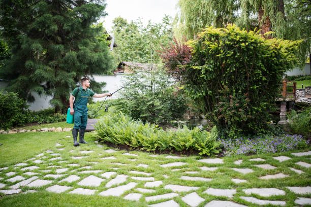 Best Affordable Pest Control Services  in Pomona Park, FL