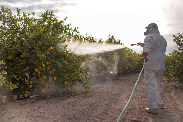 Best Residential Pest Control  in Pomona Park, FL
