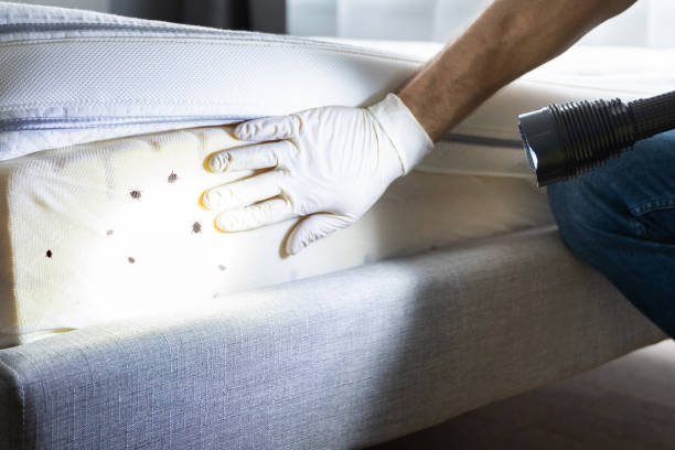 Best Pest Removal Services  in Pomona Park, FL