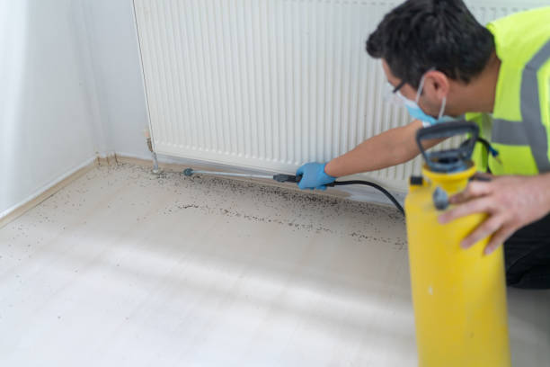 Best Pest Prevention Services  in Pomona Park, FL